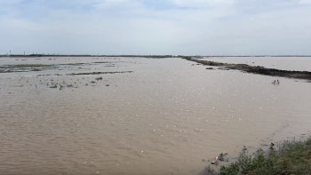 Фотография к новости: Талдыкөл ауылынан 146 жергілікті тұрғын эвакуацияланды
