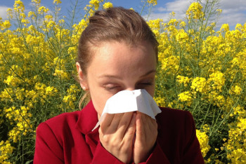 Маусымдық аллергия. Емдеу жолдары қандай