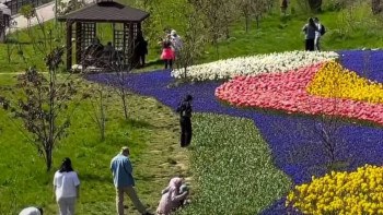 Фотография к новости: Алматыда гүлзарда селфи жасағандарға айыппұл салынуы мүмкін