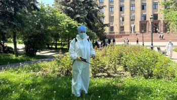 Фотография к новости: Алматыда ағаш қандаласы қаптады: Әкімдік қалай күресіп жатыр?