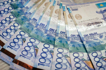 Фотография к новости: Ауыл әкімдері 15 млн теңгеге дейін бір көзден сатып ала алады