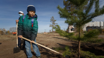 Фотография к новости: Қарағанды облысында 5 жылда 4,2 млн ағаш егілмек