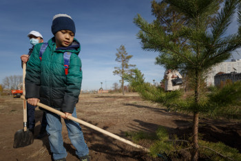 Фотография к новости: Қарағанды облысында 5 жылда 4,2 млн ағаш егілмек