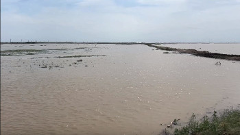 Фотография к новости: Жайық өзеніндегі су деңгейі қандай