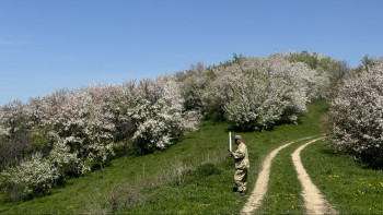 Фотография к новости: Жоңғар Алатауы саябағына ғылыми қызметкерлер қажет