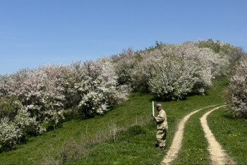 Фотография к новости: Жоңғар Алатауы саябағына ғылыми қызметкерлер қажет