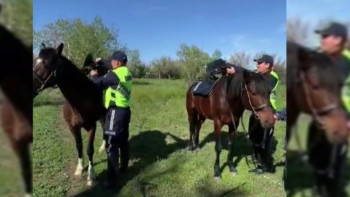 Фотография к новости: Абай облысының атты полициясы құқықтық тәртіпті қадағалайды