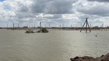 Фотография к новости: Атырауда Жайық өзенінің деңгейі көтерілді