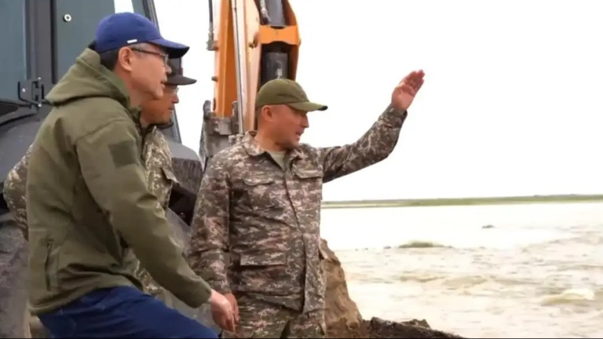  видеодан кадр