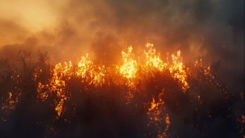 Фотография к новости: Өрт қаупі. Үкімет қосымша қаражат қарастырып отыр ма?