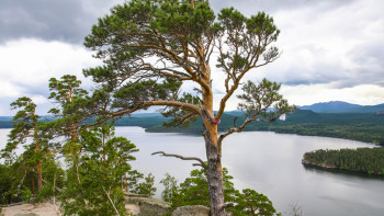 Фотография к новости: Еліміз жаһандық туризм рейтингінде өз орнын жақсартты