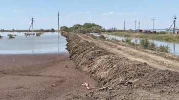 Фотография к новости: Су тасқыны. 66 егін алқабы мен 27 мал шаруашылығы қожалығы зардап шекті