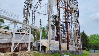 Фотография к новости: Алматыдағы бас ботаникалық бақ көмекке мұқтаж