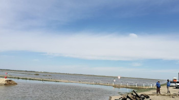 Фотография к новости: Жайық өзенінің деңгейі өзгерді