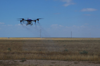 Фотография к новости: Түркістан облысында 90%-дан астам жер марокко шегірткесіне қарсы өңделді