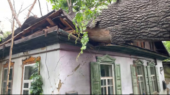 Фотография к новости: "Кесуге 450 мың теңге сұраған". Алматыда үйді үлкен емен басып қалды