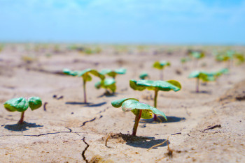 Фотография к новости: Түркістан облысында жаңа су үнемдеу технологиялары енгізілуде