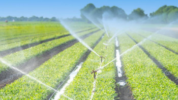 Фотография к новости: Түркістан облысында су бағасы 38%-ға дейін арзандады