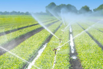 Фотография к новости: Түркістан облысында су бағасы 38%-ға дейін арзандады