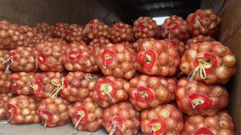 Фотография к новости: Қызылорда облысына ерте пісетін көкөністер жеткізіле бастады