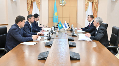 Сенаторлар ЕҚЫҰ Демократиялық институттар мүшелерімен кездесті