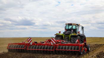 Фотография к новости: Павлодар облысында саяқ шегіртке қаптауы мүмкін