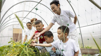 Фотография к новости: Жетісулық оқушылардың жылыжайы жеміс берді