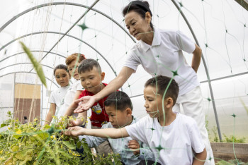 Фотография к новости: Жетісулық оқушылардың жылыжайы жеміс берді