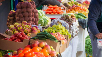 Фотография к новости: Астанада ауыл шаруашылығы жәрмеңкесі қайта ашылады