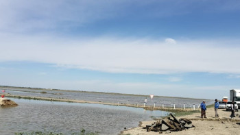 Фотография к новости: Жайық өзеніндегі су деңгейі өзгерді