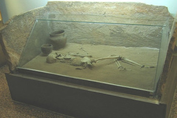 Фотография к новости: Америкалық ғалымдармен бірлесіп ежелгі адамның тамақтану әдеті зерттеледі