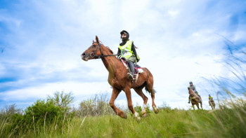 Фотография к новости: Ұлы дала жорығы-2024. Бүгін марафон-бәйгесінің жеңімпаздары марапатталады