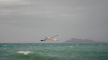 Фотография к новости: Балқаш көлінің экологиялық жағдайы қалай