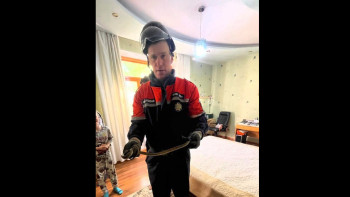 Фотография к новости: Абай қаласындағы пәтерлердің бірінен жылан табылды