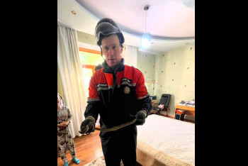 Фотография к новости: Абай қаласындағы пәтерлердің бірінен жылан табылды