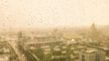 Фотография к новости: Жаңбыр, үсік: 25 мамырда бірнеше өңірде күн күрт суытады