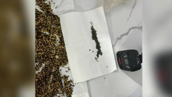 Фотография к новости: Ақтөбеде ҚАЖД мекемесіне есірткі алып кірмек болған күдікті анықталды