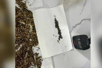 Фотография к новости: Ақтөбеде ҚАЖД мекемесіне есірткі алып кірмек болған күдікті анықталды