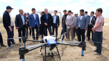 Фотография к новости: Түркістанда шегірткеге қарсы өңдеу жұмысының 90 пайызы орындалды