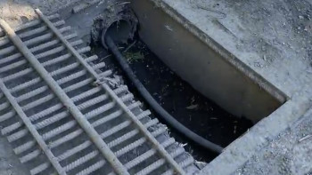 Фотография к новости: Қарағандының Бұқпа өзенін ластағандарға 1 млн теңге айыппұл салынады