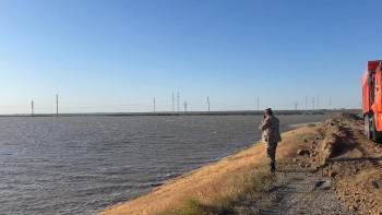 Фотография к новости: Жайық өзеніндегі су деңгейі қандай