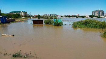 Фотография к новости: Жайық өзеніндегі су деңгейі қандай