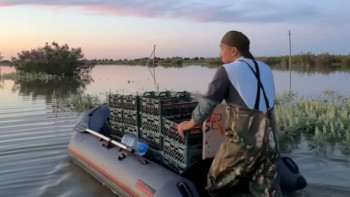 Фотография к новости: Су тасқыны: Атырау кәсіпкерлері құлпынай алқабына қайықпен қатынап жүр