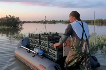 Фотография к новости: Су тасқыны: Атырау кәсіпкерлері құлпынай алқабына қайықпен қатынап жүр