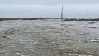 Фотография к новости: Жайық өзеніндегі су деңгейі өзгерді ме