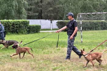 Фотография к новости: Кинологпен сұхбат: Қызметтік иттердің қыр-сыры