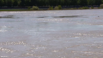 Фотография к новости: Жайықтағы жағдай қандай?