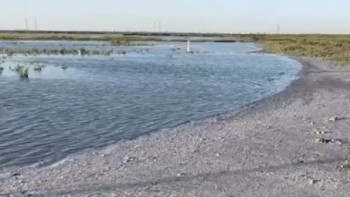 Фотография к новости: Атырау қаласы аумағындағы жағалауларда тәуліктік кезекшілік жалғасуда