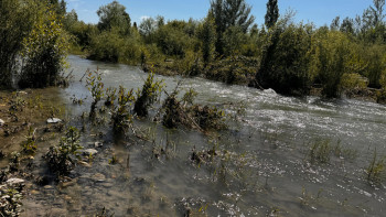 Фотография к новости: Балқаш көліне заманауи инфрақұрылым қажет