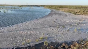 Фотография к новости: Жайық өзеніндегі су деңгейі төмендей бастады